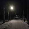 Измайловский парк зимней ночью